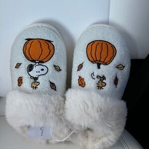 Snoopy American Eagle Slippers